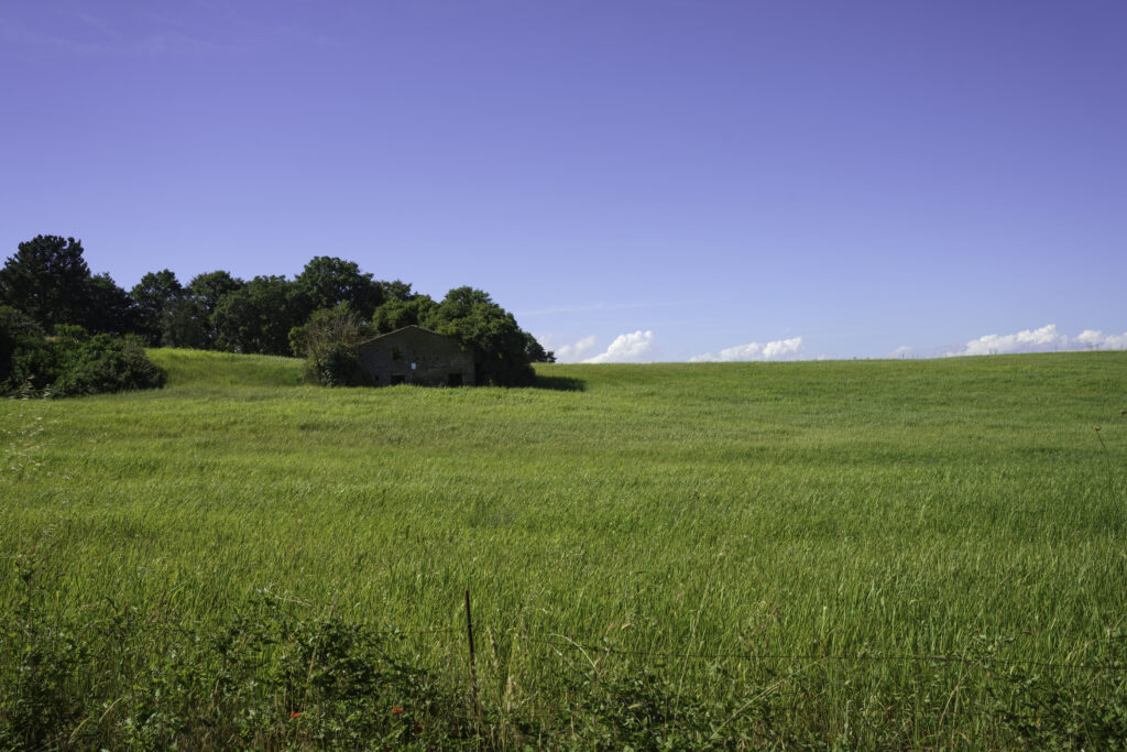 and for sale in Blount County, Alabama